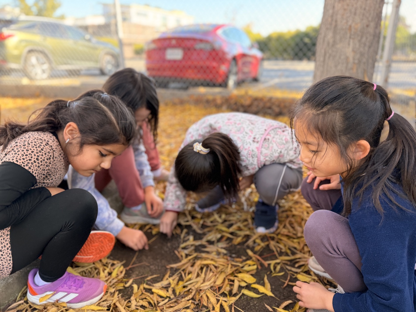 Students outdoors among fall leaves